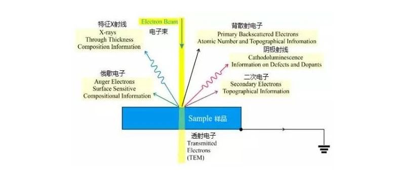 TEM透射电镜